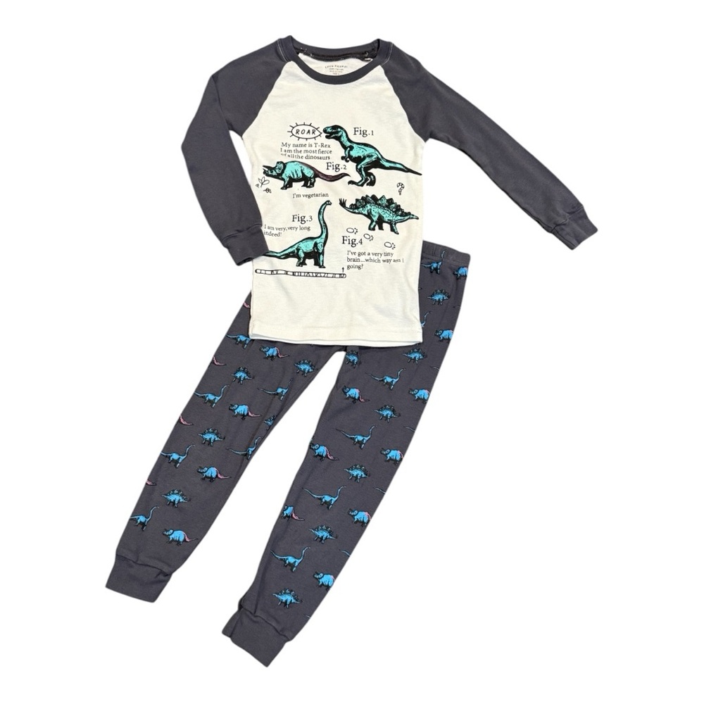 Teal Dinosaur Graphic Pajama Set with Raglan Sleeves